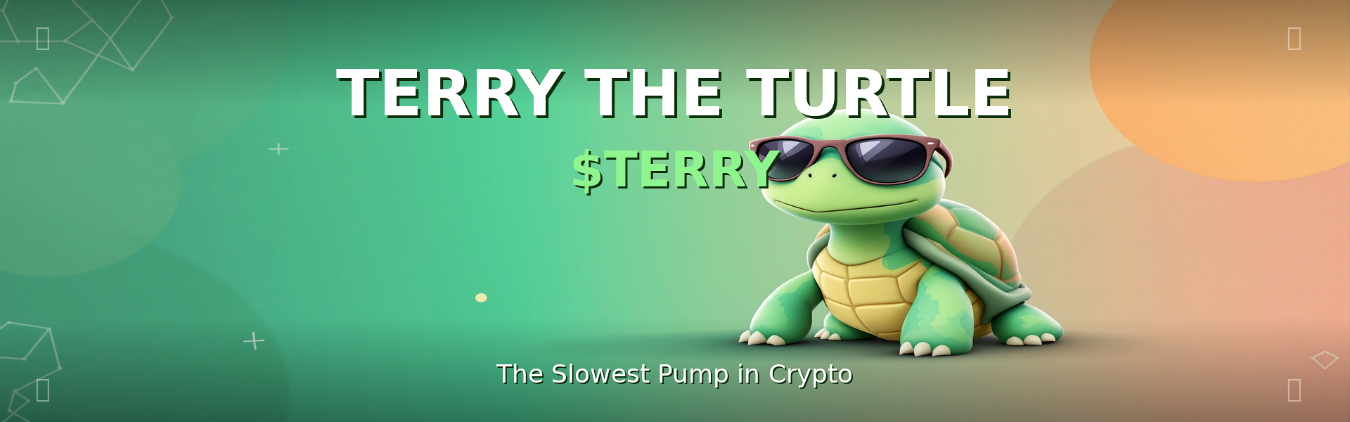 Terry The Turtle - The Slowest Pump in Crypto - $TERRY Meme Coin